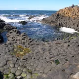 The volcanic columns of the Giant's Causeway